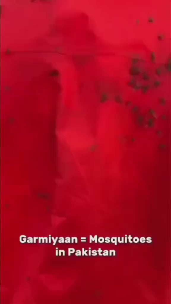 Mosquito Killer Machine trap lamp With USB